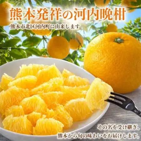 河内晩柑(ジューシーオレンジ)みかん 訳あり 約8kg(益城町)【1726323】