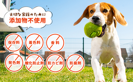 ＜CalWan（カルワン）4個セット＞ 国産 詰合わせ 1袋約60g 犬 ペット おやつセット 愛媛県産 SDGs ヒューマングレード トリーツ 養殖真鯛 フードロス (株)SakuSaku 愛媛県 
