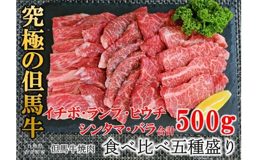 
										
										【但馬牛 焼肉 食べ比べ五種盛 合計500g イチボ100g ランプ100g ヒウチ100g シンタマ100g バラ100g冷凍 産地直送】 発送目安：貴重な部位のためお届けに1～2か月要します 但馬牛は神戸牛、仙台牛、飛騨牛のルーツ牛です ふるさと納税 牛肉 ブランド 和牛 兵庫県 但馬 神戸 香美町 村岡 国産 新鮮 但馬牛専門店 牛将 02-18
									