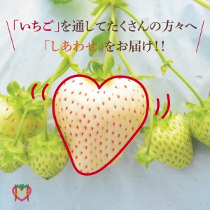 晴苺 約450g はれいちご いちご