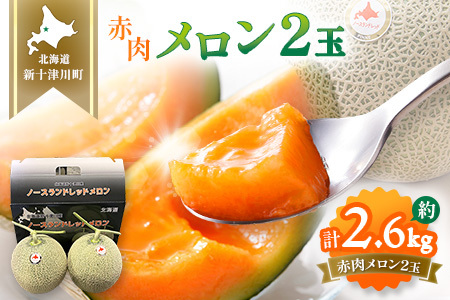 【先行予約】【数量限定】 赤肉メロン２玉【令和８年７月～８月上旬発送】【12031】
