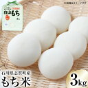 【ふるさと納税】もち米 白山もち 3kg [トミヨの里 石川県 志賀町 CB4033] 米 餅米 お米 おこめ こめ コメ 精米 白米 ご飯 ごはん ゴハン