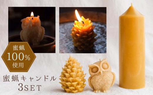 
                  【信州産蜜蝋100％】蜜蝋キャンドルセット | キャンドル きゃんどる 蝋 蝋燭 ロウソク ハンドメイド インテリア フクロウ 鉛筆 松ぼっくり 長野県 松本市
                