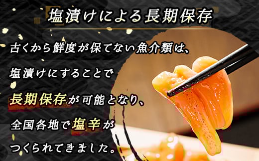 【定期便】おうち飲みおつまみセット  3ヶ月 連続お届け | 鮭 サケ さけ 鮭とば さけとば おつまみ 海鮮 ジャーキー 塩辛 いか イカ 北海道 昆布のまち 釧路町 ご飯 米 無洗米 との相性抜群
