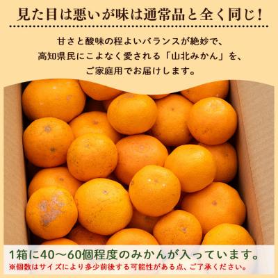 ふるさと納税 香南市 みかん 5kg 温州みかん 訳あり 家庭用 山北  柑橘系果物 フルーツ 柑橘類 yk-0076 |  | 01