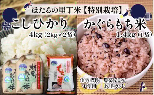 【先行予約】【令和7年産 新米】ベストファーマー ほたるの里 特別栽培こしひかり 4kg（2kg × 2袋） ＋ かぐらもち米 1.4kg 化学肥料不使用 農薬70％以上カット