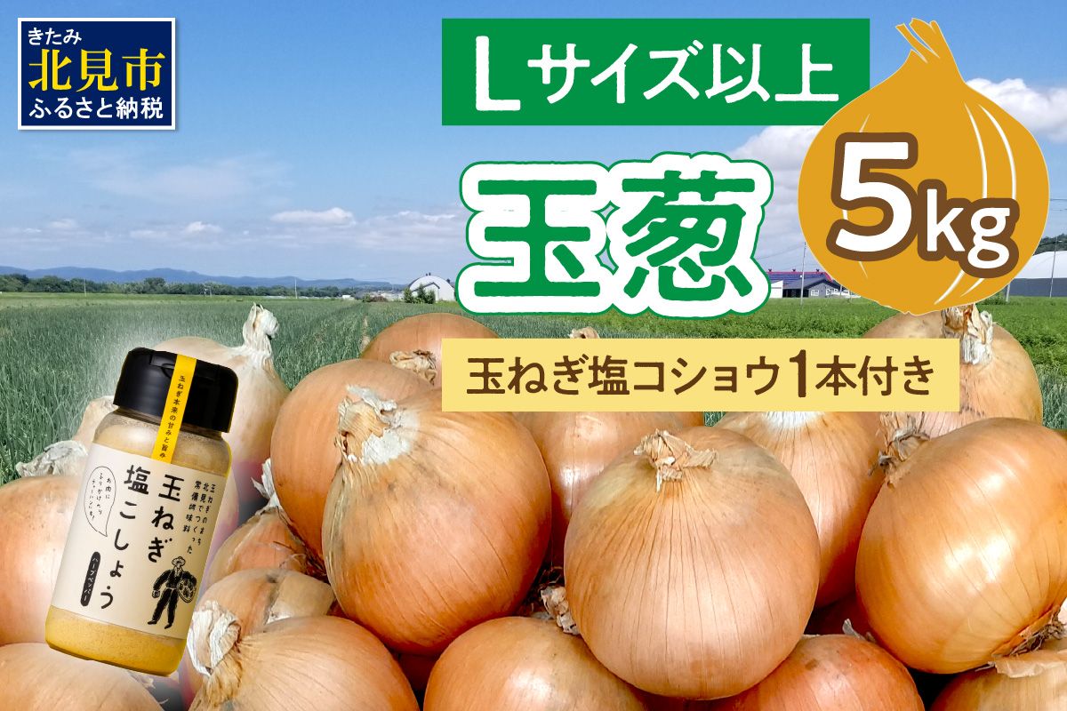 【予約：2025年11月から順次発送】玉葱 5kg Lサイズ以上 玉ねぎ塩こしょう 1本付き ( タマネギ 玉葱 野菜 調味料 塩コショウ )【148-0011-2025】