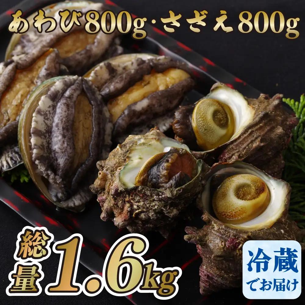 産地直送【 あわび・さざえセット】生食可 1.6kg あわび A177