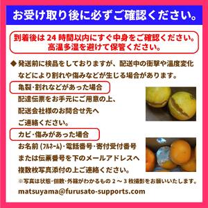 【先行予約】愛果28号 5kg みかん 紅まどんな 紅マドンナと同品種 果物 フルーツ 愛媛県 【11月下旬～12月下旬発送】【OS0032】