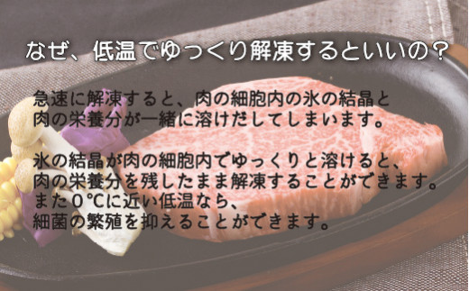 長崎和牛ヒレステーキ(4枚) 牛肉 黒毛和牛 肉