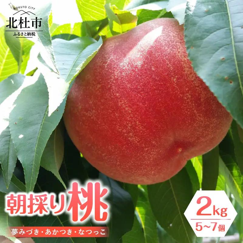 【2026年度先行予約】朝採り桃 2kg（夢みづき・あかつき・なつっこ）５～7個 [h187]