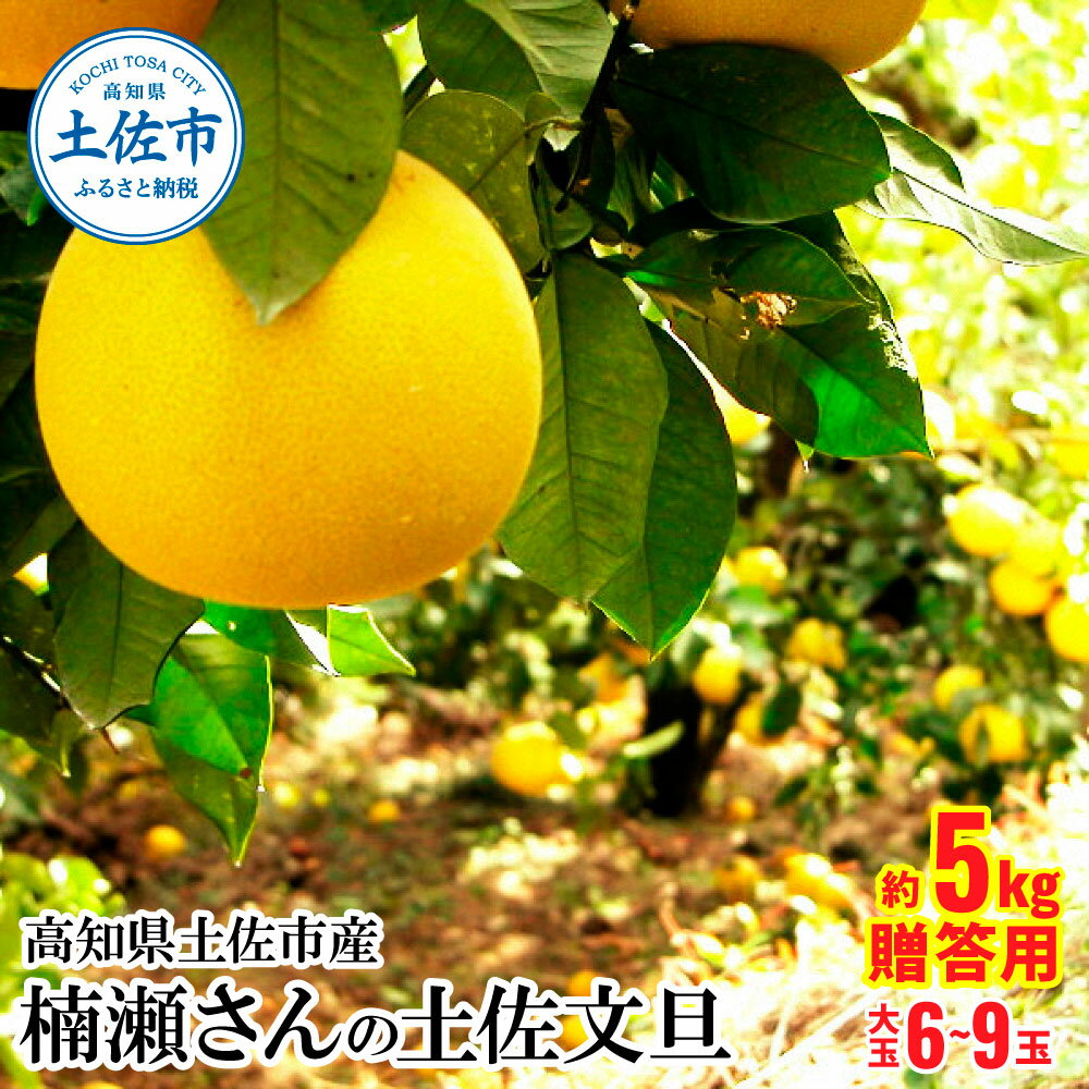 【ふるさと納税】高知県土佐市産 楠瀬さんの土佐文旦 贈答用大玉 約5kg 期間限定 高知 土佐 文旦 ぶんたん ブンタン 柑橘 みかん 果物 5キロ 3L～4Lサイズ 6～9玉 フルーツ 大玉 旬 ギフト お取り寄せ 常温 高知県 土佐市 ふるさとのうぜい 故郷納税 返礼品