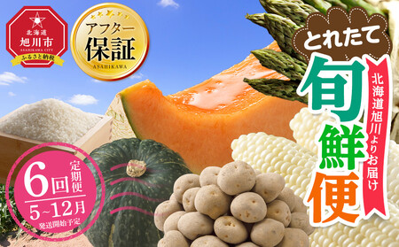 【先行予約】とれたて定期便～北海道旭川市から旬の定期便～全6回 | アスパラ メロン とうもろこし お米 かぼちゃ じゃがいも_05690