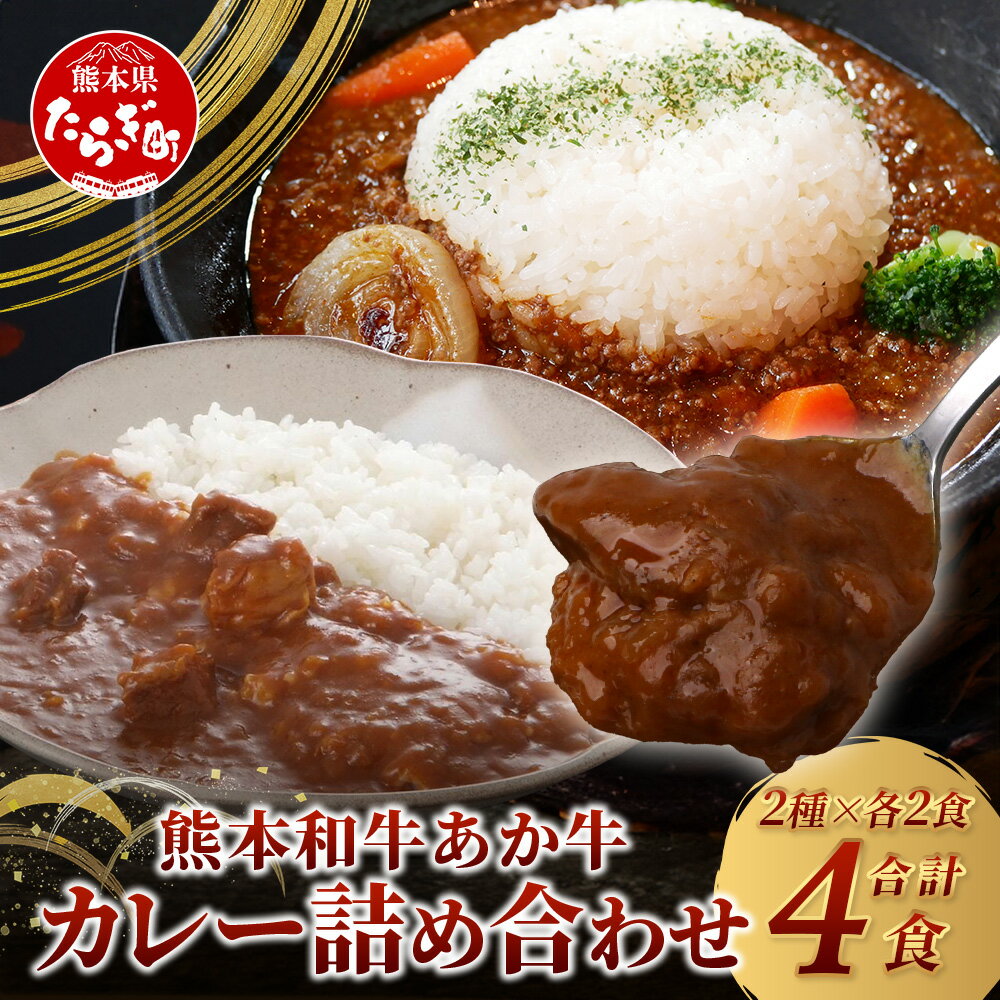 【ふるさと納税】あか牛カレー 詰め合わせ あか牛カレー180g×2・あか牛100％挽肉カレー220g×2 046-0625 国産 熊本県産 送料無料