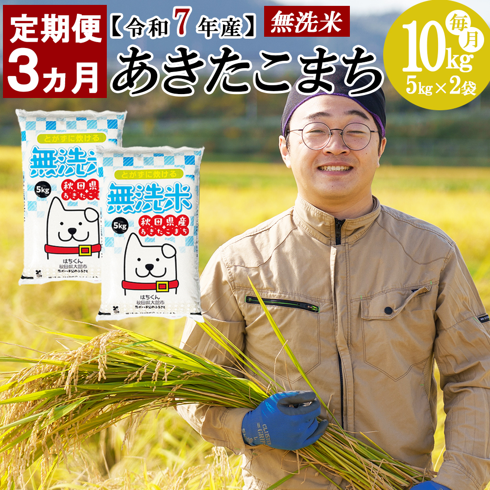 【定期便3ヶ月】秋田県産米「あきたこまち（無洗米）」 10kg（5kg×2袋）　420P9203
