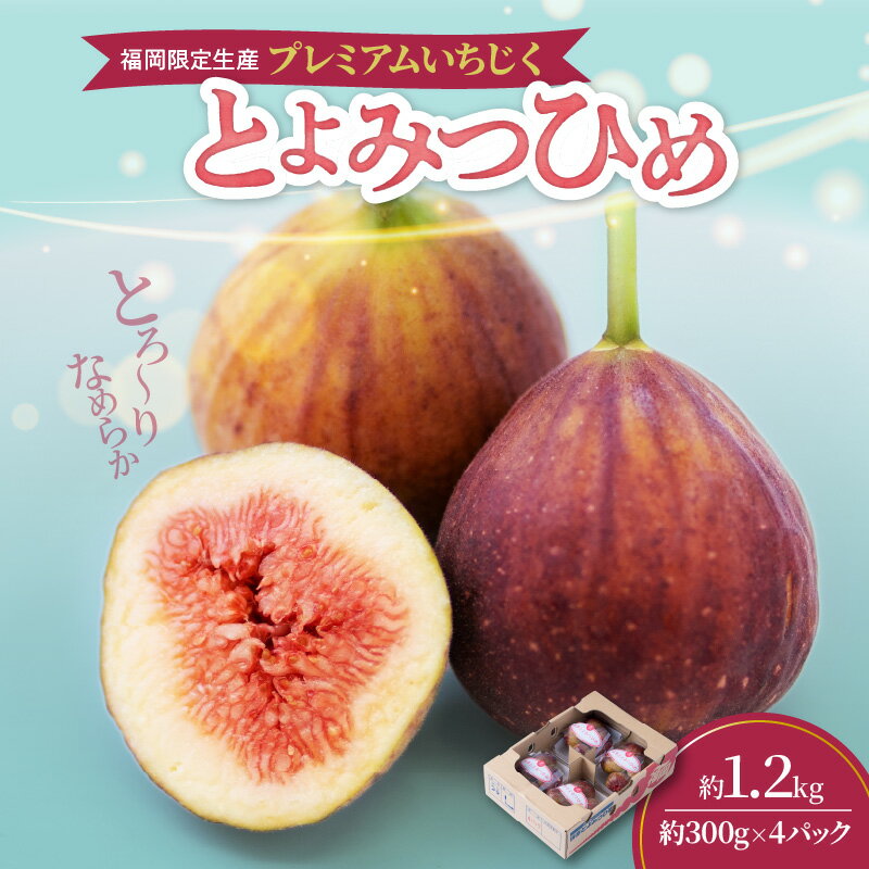 【ふるさと納税】ブランド いちじく とよみつひめ 約300g×4パック 計1.2kg 肉厚 果肉 滑らか 食感 甘く 上品な 味わい ケーキ タルト ジャム パフェ シャーベット スイーツ 食材 果物 フルーツ 果実 お取り寄せ グルメ お取り寄せグルメ 福岡県 久留米市 送料無料