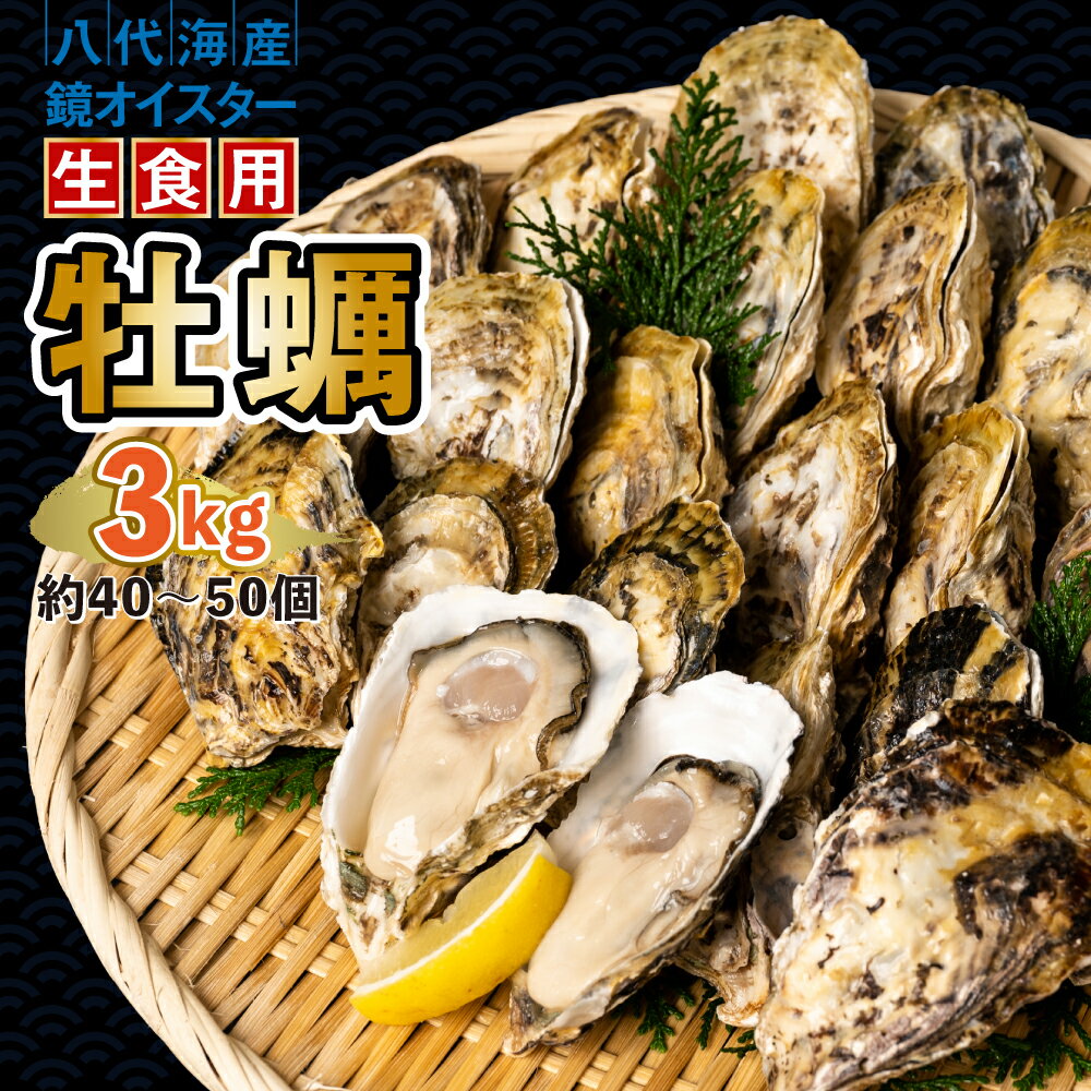 【ふるさと納税】【先行予約】 牡蠣 鏡オイスター 生食用 3kg オイスター 生かき 新鮮 おつまみ BBQ 送料無料 【2025年12月中旬より順次発送】