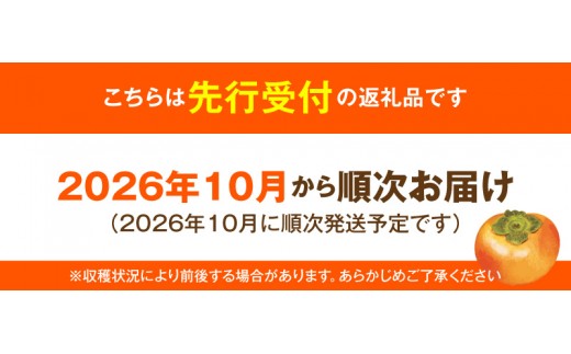 【先行受付】 太秋柿 6kg こねり柿園こだわりの『よのちゃん太秋柿』 KNR0208
