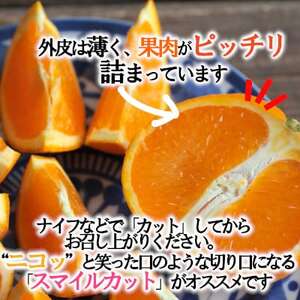 「甘柑きよみ」5kg【C79-27】【1474163】