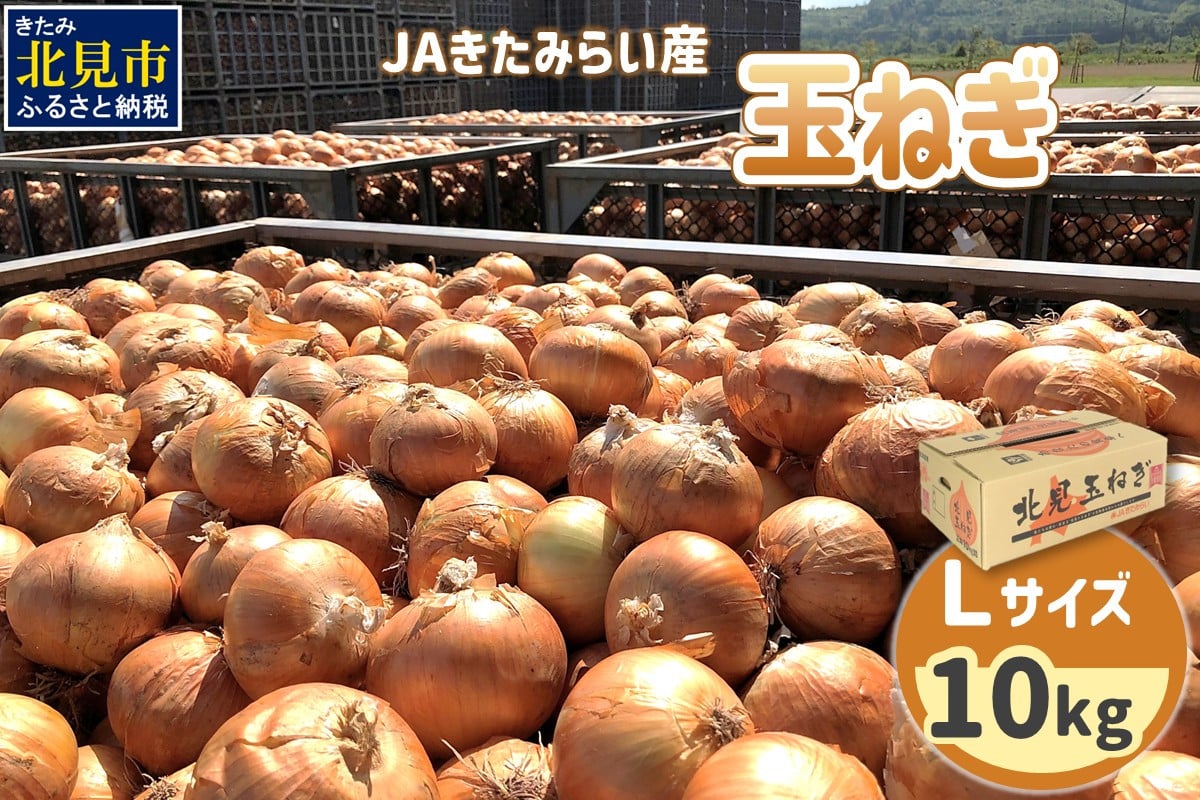 
            【予約】JAきたみらい産 玉ねぎ Lサイズ 10kg ( タマネギ たまねぎ 野菜 )【210-0001】
          