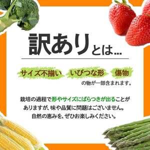＜先行予約！2026年12月上旬以降順次発送予定＞＜訳あり・家庭用＞香川県産 小原紅早生みかん(約5kg/サイズミックス) 国産 果物 フルーツ みかん ミカン 柑橘 新鮮 【man089-A】【Ag
