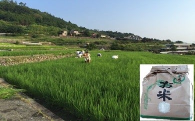 【つきよね】棚田米(ヒノヒカリ) 10kg(5㎏×2袋)　ひのひかり お米 精米 米 舂米