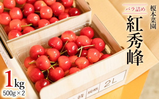 【令和9年産先行予約】　山形県 鶴岡市産 さくらんぼ「紅秀峰」(2Lサイズ以上) バラ詰め 1kg (500g×2)  榎本菜園 K-969 | サクランボ チェリー 紅秀峰 果物 くだもの フルーツ 1キロ 甘い 完熟 旬 産地直送 人気 美味しい 2027年産 お取り寄せ 山形県 鶴岡市 東北 返礼品