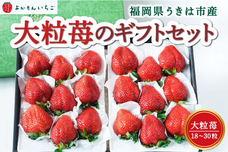 よかもんいちご 大粒苺のギフトセットB 2027年1月2日から1月31日 出荷予定