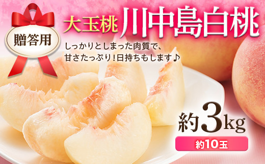 
            福島県産 川中島白桃 3kg（約10玉） 2025年8月中旬～2025年8月下旬発送 2025年出荷分 先行予約 予約 白桃 大玉 伊達の桃 桃 贈り物 贈答 ギフト もも モモ 果物 くだもの フルーツ 国産 食品 F20C-521
          