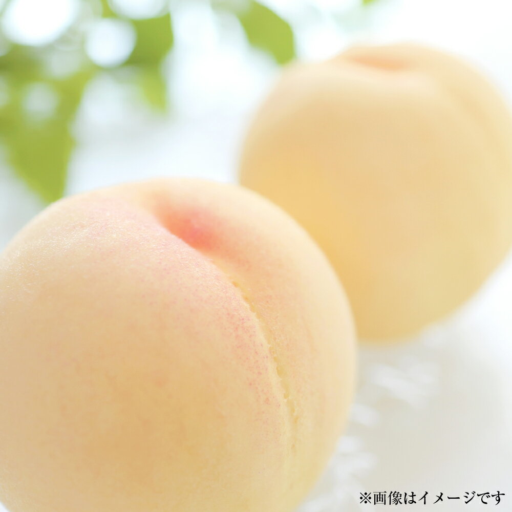 【ふるさと納税】【訳あり】岡山白桃（家庭用） 1.2kg以上 サイズ不揃い ブランド桃 モモ はなよめ 白鳳 清水白桃 白麗 白皇 恵白 くだもの 果物 果実 フルーツ 冷蔵 岡山県産 国産 岡山県 倉敷市 送料無料 【2025年7月上旬～2025年8月下旬迄発送】