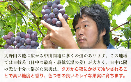 手作り自家製甘夏ピール 35g×5袋 田中ぶどう園 国産 ドライフルーツ 無添加 小分け 保存食 備蓄食 常備食 食物繊維 レア 防災食品 製菓 製パン おやつ おつまみ 送料無料