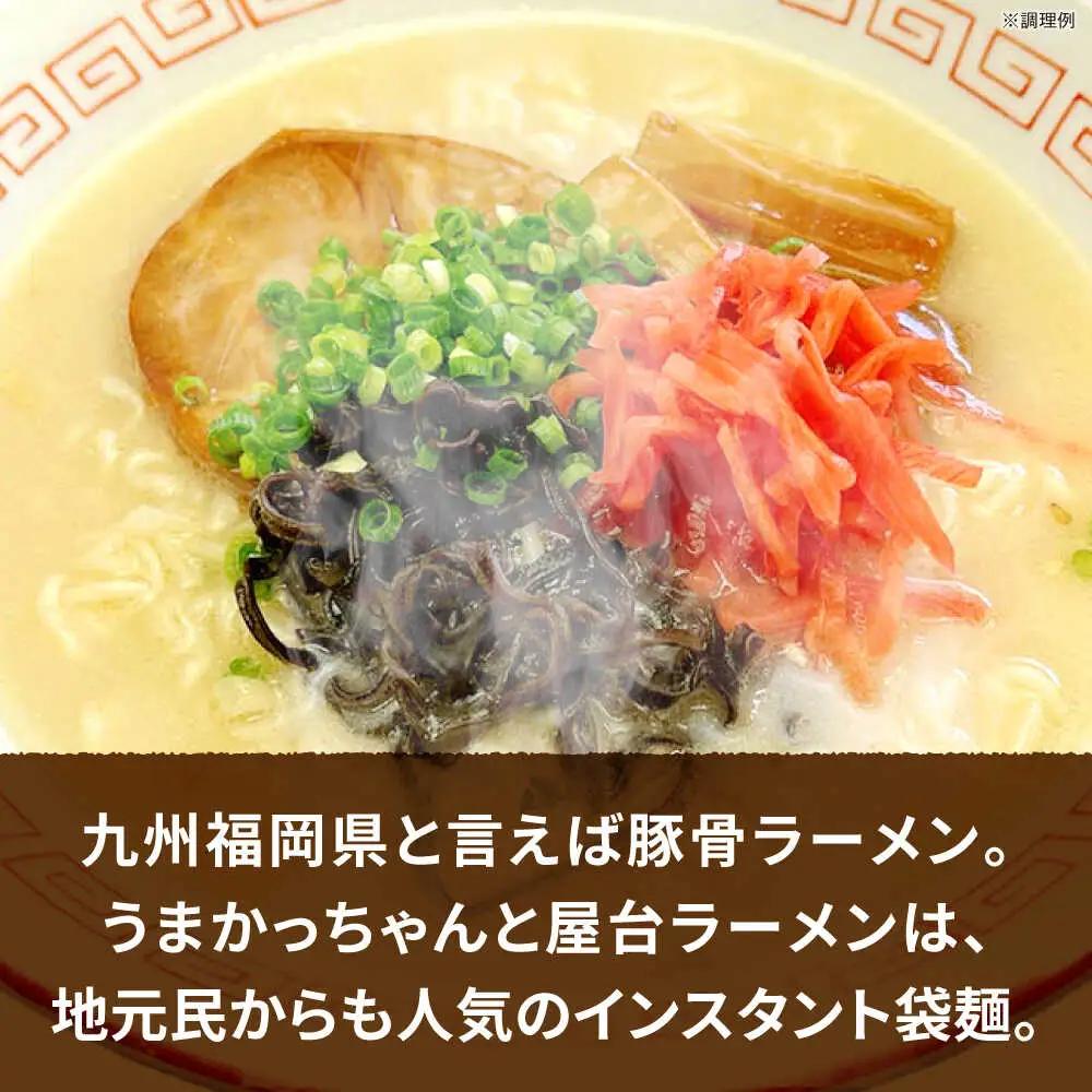 九州の味 豚骨ラーメン2種×10食セット（合計20食）（うまかっちゃん10食・屋台ラーメン10食） [VCL151]