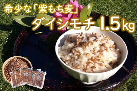 山々と源流の山国町「nakano麦園」の希少な『紫もち麦』ダイシモチ300g×5袋 |  紫もち麦 もち麦 麦 ダイシモチ 紫麦 雑穀 穀物 希少 国産 麦ご飯 1500g 1500グラム 1.5kg 1.5キロ 大分県 中津市