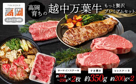 
                  高岡育ちの越中万葉牛 もっと贅沢プレミアムセット サーロイン ヒレ ステーキ すき焼き すきやき スキヤキ 国産 肉 牛 富山  FAD-0079
                