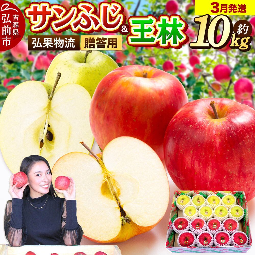 【寄附金額見直しました】りんご サンふじ・王林 詰め合わせ【贈答用】約10kg 林檎 リンゴ 果物 くだもの フルーツ 青森 [りんご サンふじ 王林 贈り物 贈答用 お歳暮 お中元 ギフト 10キロ アップル おいしい 黄色 果実 果物 詰め合わせ セット 赤色 美味]
