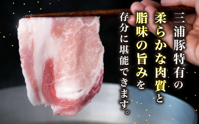 【3回定期便】 三浦豚 豚肉 ロース900ｇ（しゃぶしゃぶ用）/ ブランド豚 国産 ポーク しゃぶしゃぶ 恵那市 / あづま精肉店 [AUDL015]