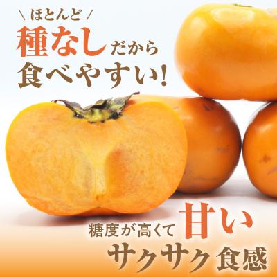 ふるさと納税 宗像市 福岡県ブランド　高級柿【秋王】3.5kg【JAほたるの里】_HA1352 |  | 01