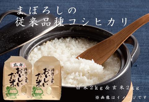 【令和6年産新米予約】【新潟産コシヒカリ】 白米 玄米 各2kg (計4kg) 旧笹神村産 阿賀野市 上泉 農家直送 コメドック 金賞 贈答 9月下旬より順次発送予定 1Q07011