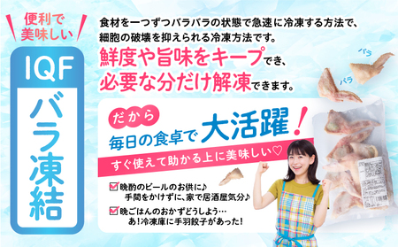 手羽先チーズ30本入り 手羽先 手羽餃子 手羽先餃子 チーズ お惣菜 冷凍 冷凍餃子 宮崎餃子