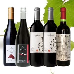 山梨市品種別赤ワイン5本セット【1613723】