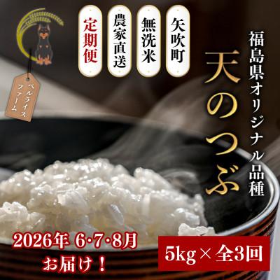 ふるさと納税 矢吹町 【発送月固定定期便】【2026年6月より順次発送予定】無洗米 農家直送 天のつぶ 5kg全3回