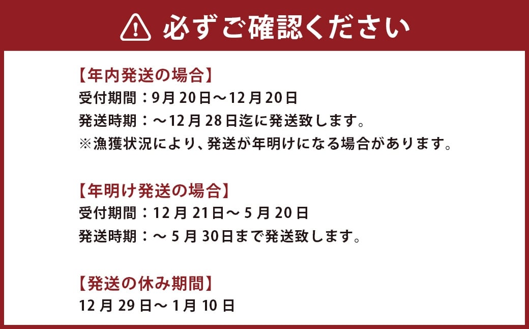 活 伊勢海老 (イセエビ) 2～3尾入り 800g 伊勢エビ エビ 海老 新鮮