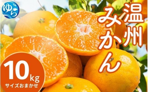 温州みかん 10kg (サイズおまかせ) ※2026年12月中旬～2027年1月下旬に順次発送予定 ※北海道・沖縄・離島配送不可 / ミカン 蜜柑 フルーツ 果物 柑橘 果実 由良町 国産 産地直送 和歌山県 【eiw004-r-10】