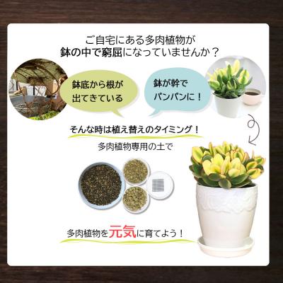 ふるさと納税 山口市 培養土　【植え替え土セット】　多肉植物の土 E102 |  | 02
