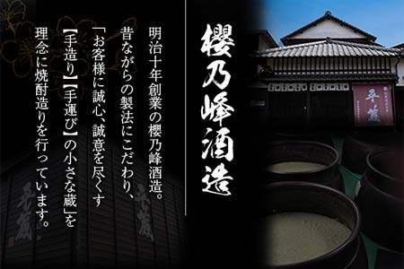 本格芋焼酎「平蔵飲み比べセット」合計6本(25度)　酒　アルコール　飲料　国産 EB10-23