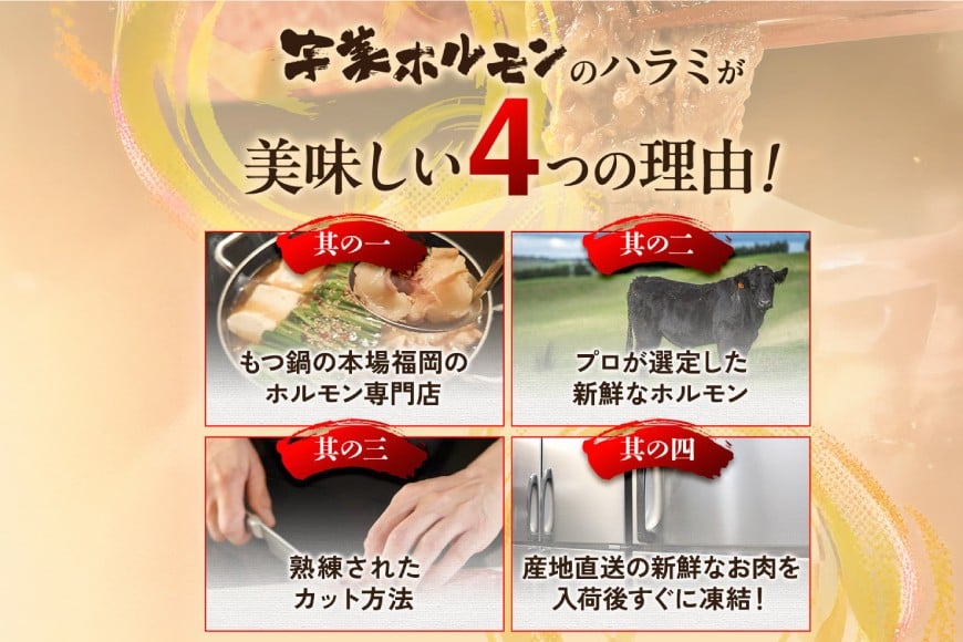 牛肉 焼肉 国産 特製たれ漬 牛ハラミ サガリ 750g [宇美ホルモン 福岡県 宇美町 um40azp100004] ハラミ はらみ 牛はらみ 小分け 個包装 牛 肉 焼き肉 ホルモン タレ漬け た