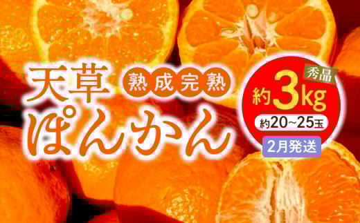 S117-004_香りを食す！熟成完熟天草ぽんかん 2月発送 約3kg秀品〈先行受付〉