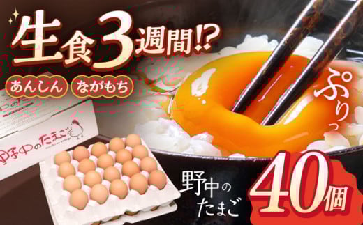 野中の たまご  40個【野中鶏卵】[OAC001] / 卵 たまご 赤玉 長崎県産 川棚町 たまご 卵 玉子 タマゴ 鶏卵 オムレツ 卵かけご飯 朝食 料理 人気 卵焼き