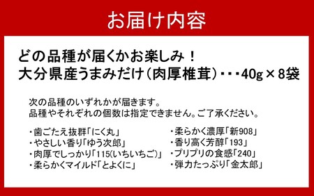 2292R_8品種からどれが届くかお楽しみ！大分県産うまみだけ（肉厚椎茸）40g×8袋