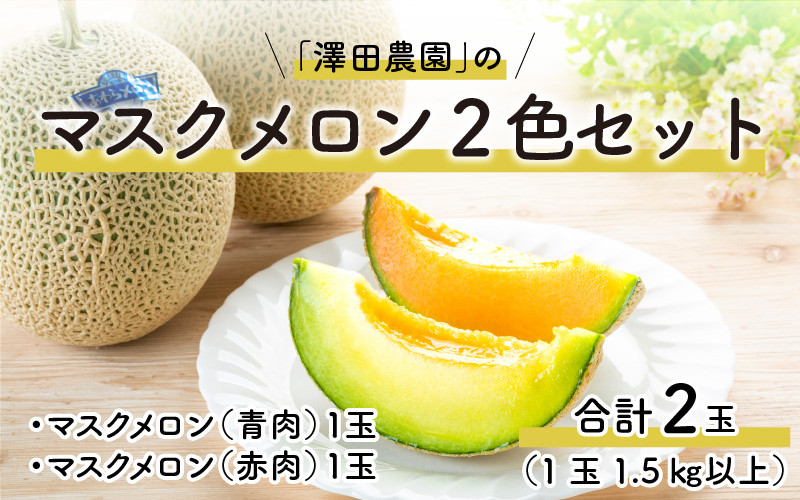 
【先行予約】マスクメロン 青肉/赤肉 2色セット（1.5kg以上 2玉入）食べ比べお楽しみ！アールスメロン / 期間限定 果物 フルーツ 産地直送 人気 食べ比べ ※2025年7月上旬より順次発送
